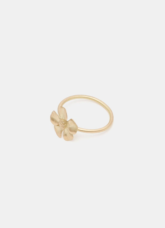 Anillo Ancient Wild Rose