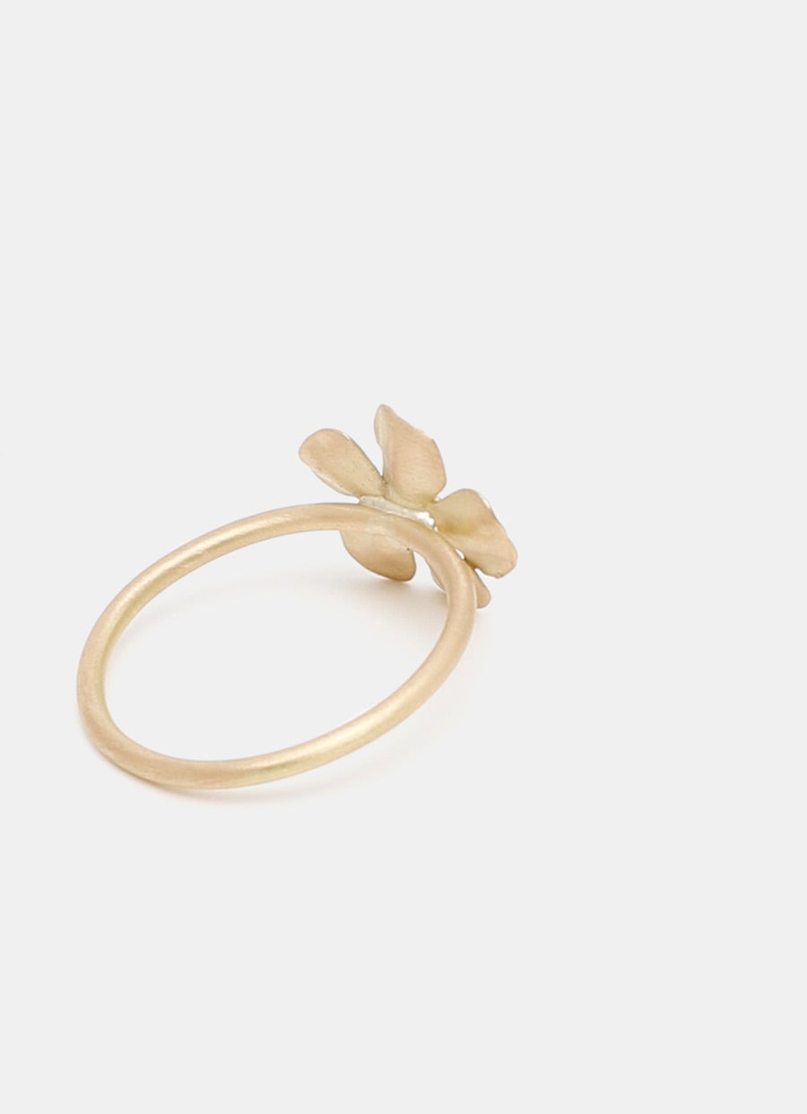 Anillo Ancient Wild Rose